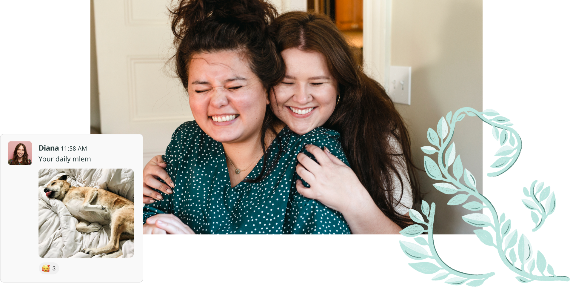 A collage of images including 2 members of the S&C team embracing, a social media post by a team member of her dog, and the S&C ampersand decorated with leaves