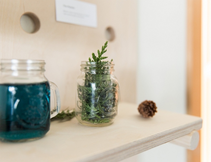 Two glass jars, one with blue water the other with green pine snippets.