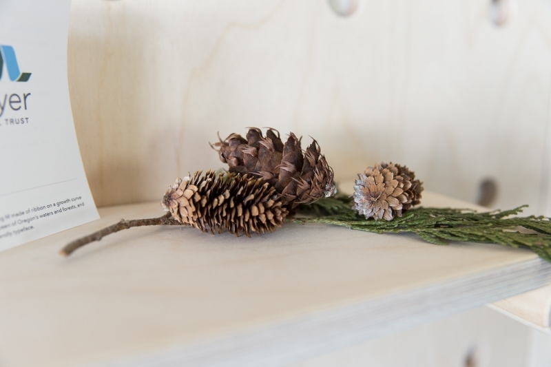 Three acorns laying on a shelf on top of a pine branch.