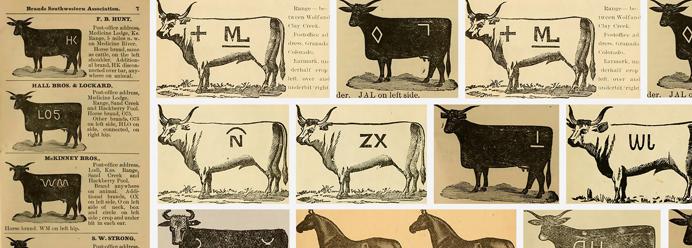 Grid of cows with a branded mark