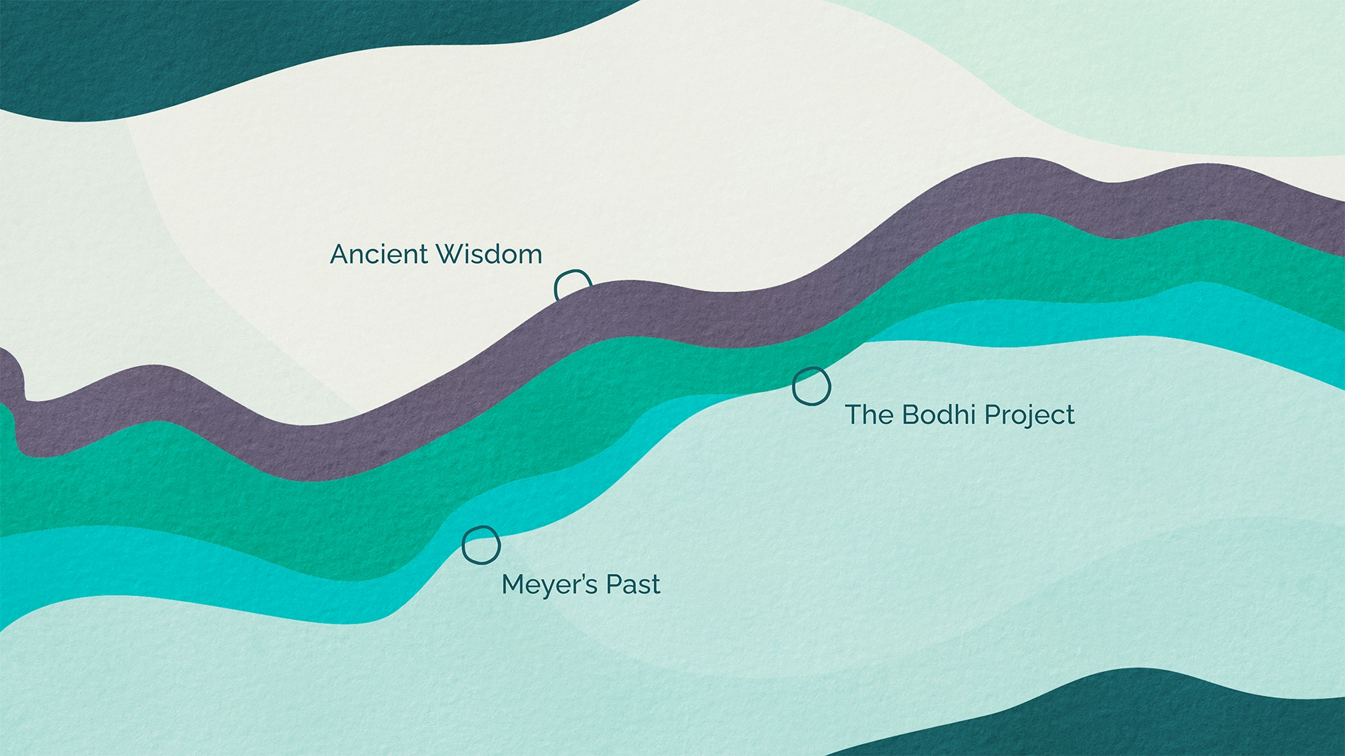 Themed design for s.h.i.f.t. presentation report. Abstract, wavy and circular shapes in greens and purple.