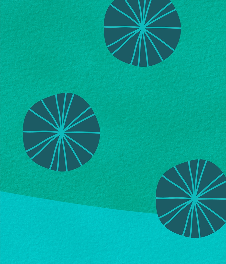 S.h.i.f.t branded pattern