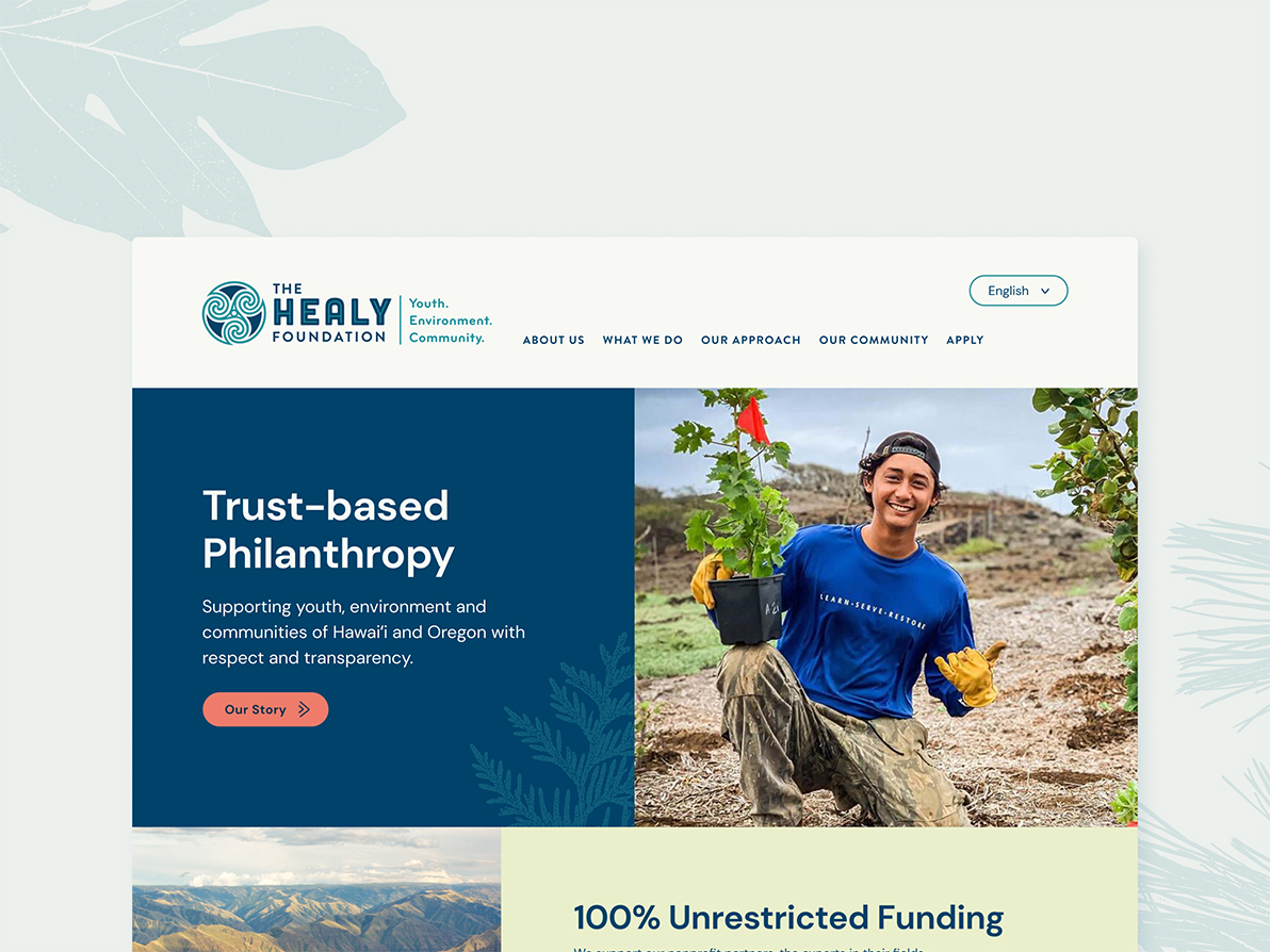 Screenshot of The Healy Foundation website homepage.