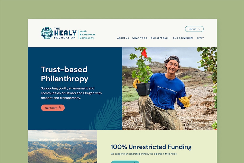Screenshot of The Healy Foundation website homepage.