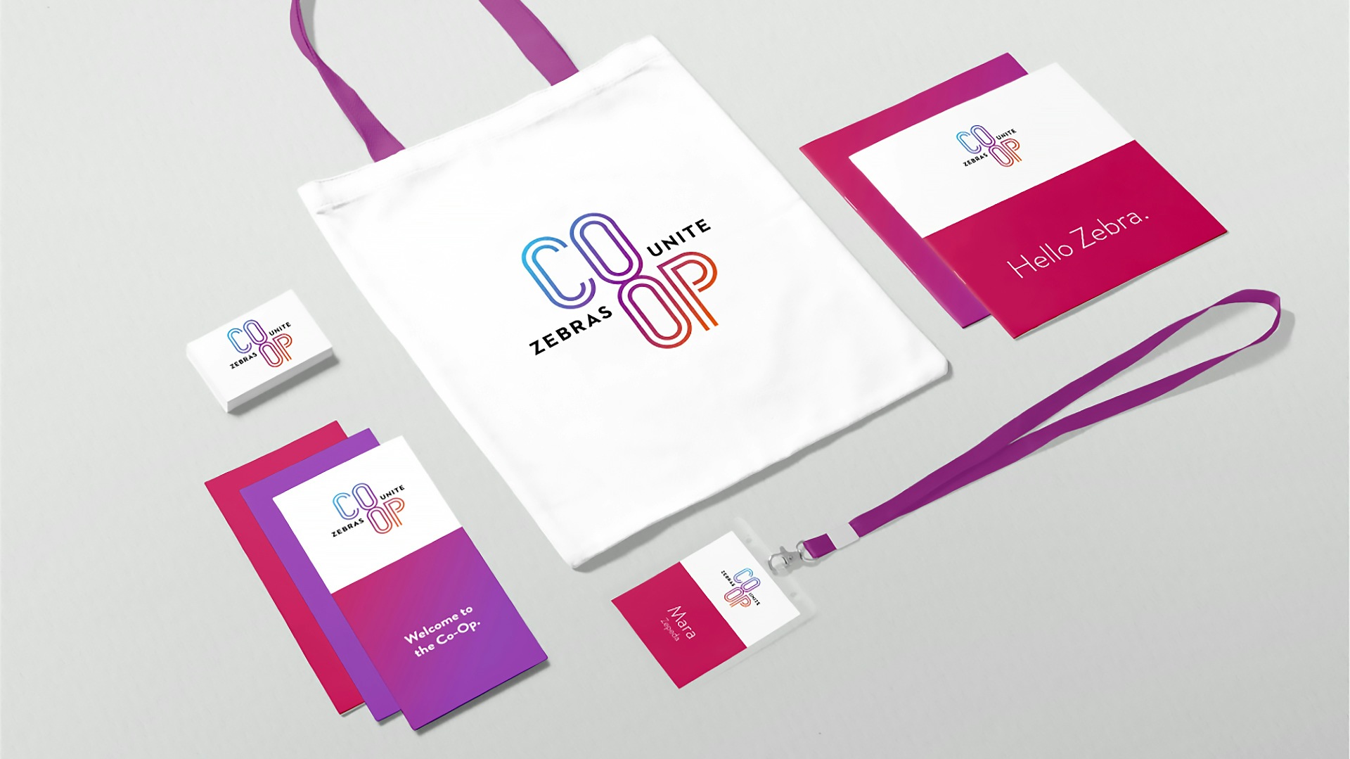 A collection of branded marketing materials: tote bag, name tags, brochures, business cards, and booklet designs