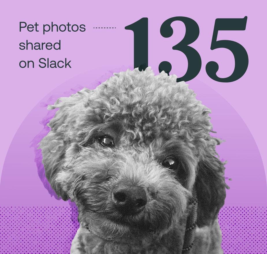 A photograph of Balerion, Zackʻs dog, collaged with the text "135 pet photos shared on Slack."