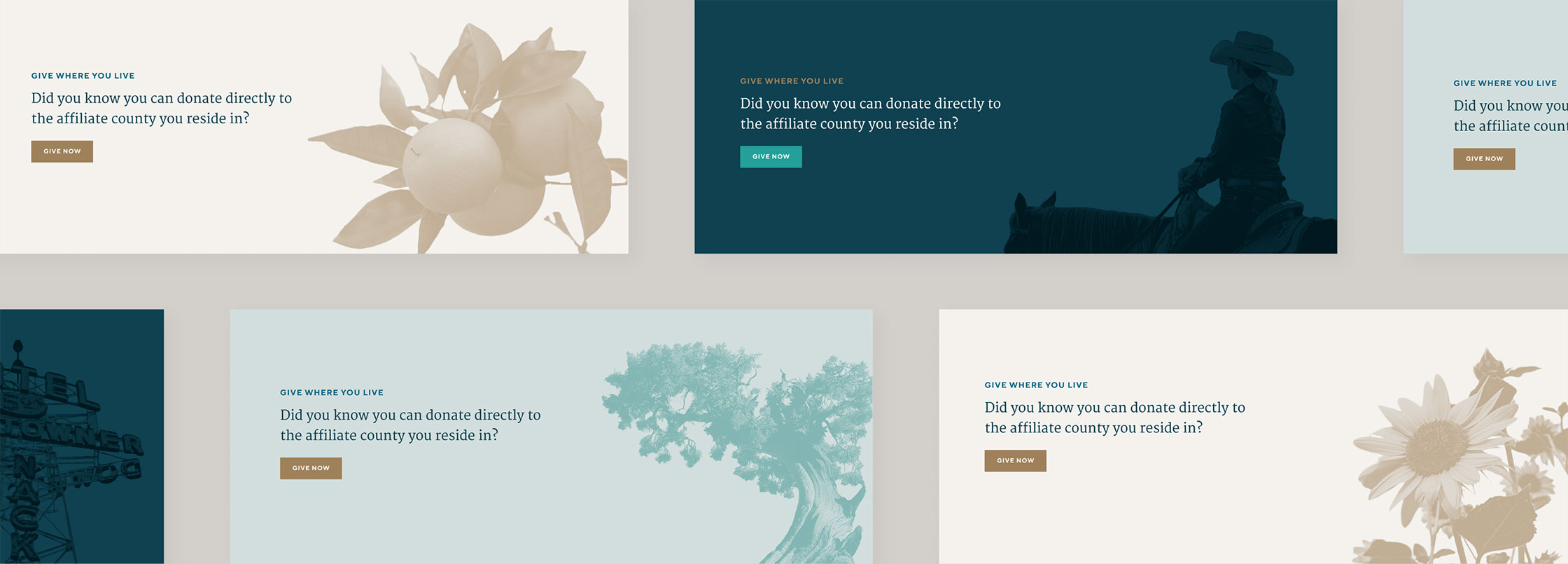 A grid of the same website CTA, but the design varies using color and imagery theming.
