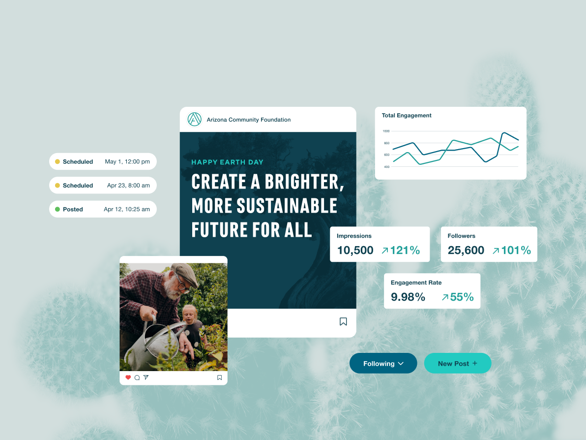 A collage of social media designs, statistics, and scheduling buttons.