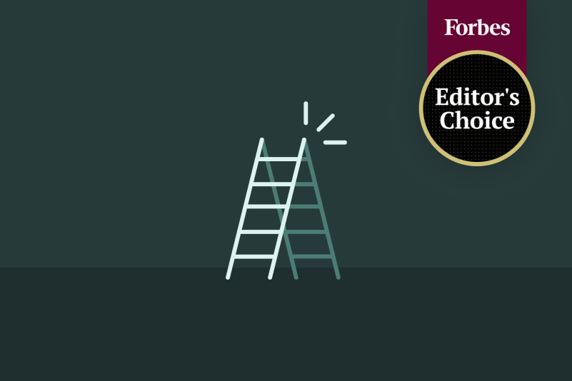 Two-sided step ladder centered on a dark teal background