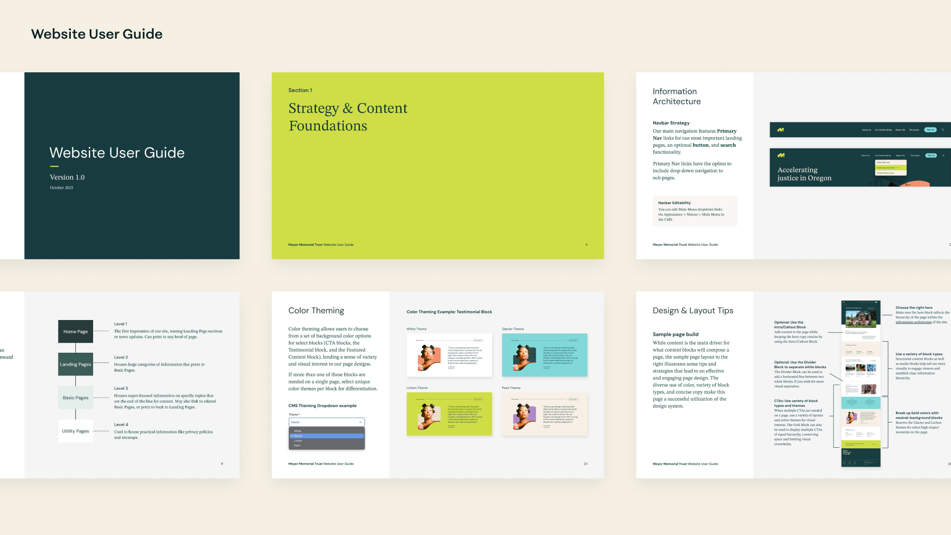 "Website User Guide" showing sample pages from Meyer Memorial Trust's design system documentation, including information architecture, color theming, and page design layout tips.